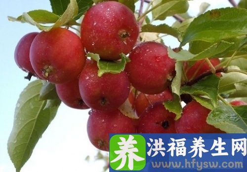 冬季补肾吃什么好 推荐八款补肾食谱