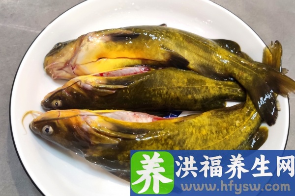 黄骨鱼的功效与作用、禁忌和食用方法