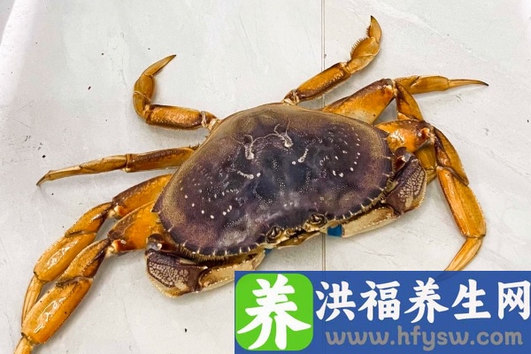 螃蟹死了可以吃吗