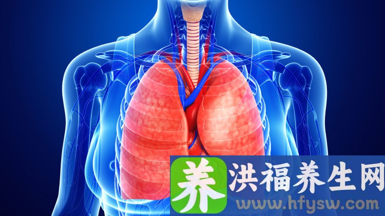 小细胞肺部肿瘤36x44cm是几期