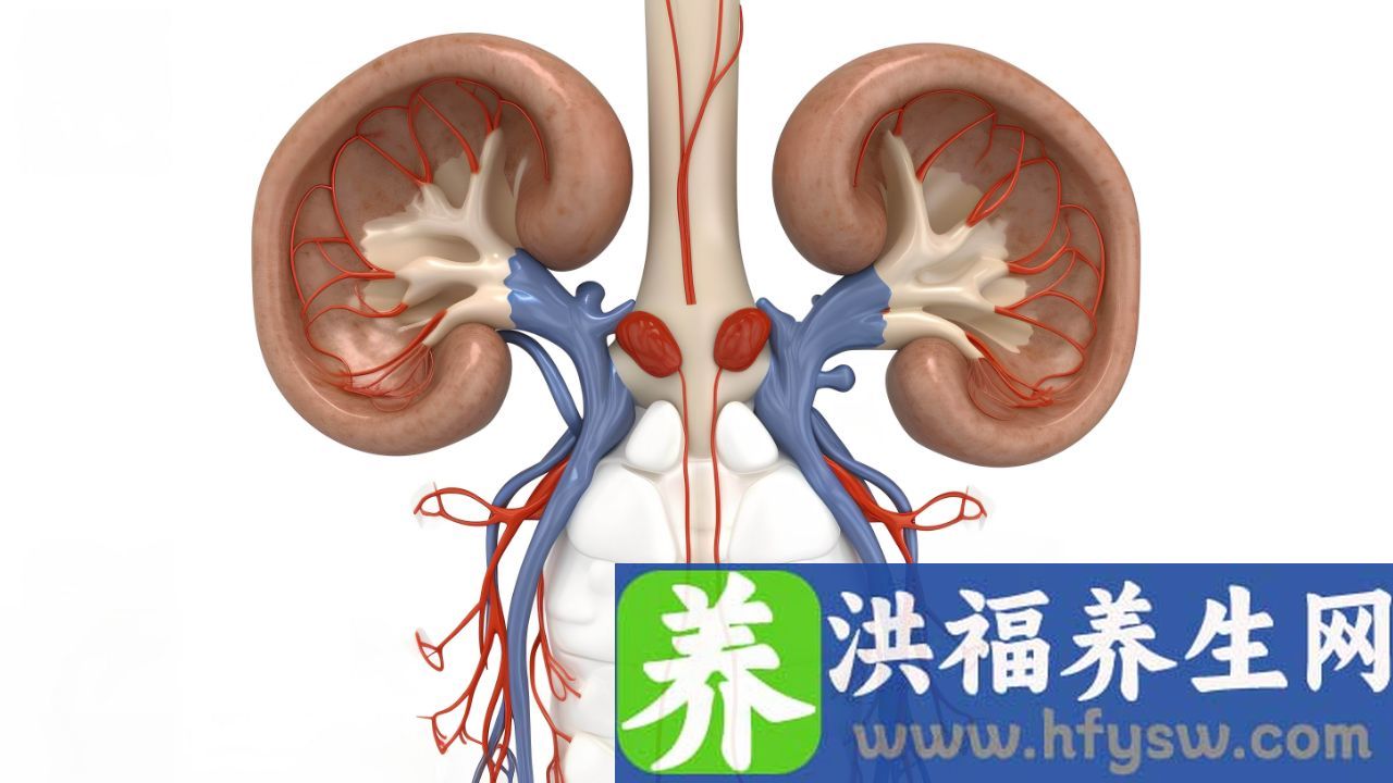 贴膏药对肾的危害有哪些
