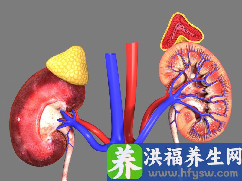 中国肾病越来越多，都是自来水惹的祸？真正伤肾的是这4种行为