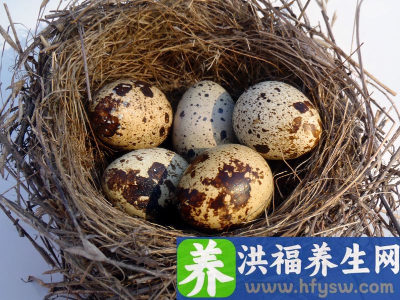 被我国人连连追捧的燕窝，据传是燕子口水做的？营养价值究竟如何