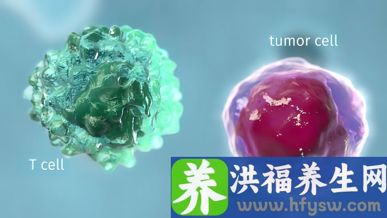 抗核抗体阳性1:100可怕吗