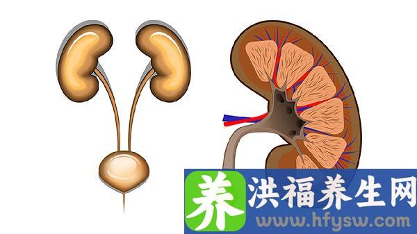 气管镜几天出结果肺部肿瘤