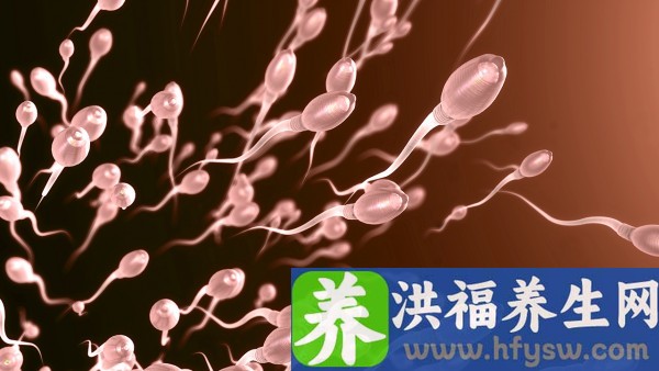 精子畸形症怀孕有什么影响