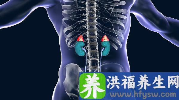 肌酐高的原因和危害有饮食禁忌