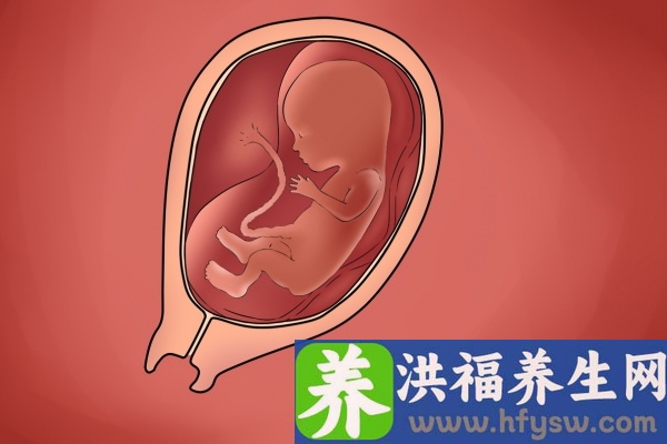 怀孕了可以吃桂圆吗