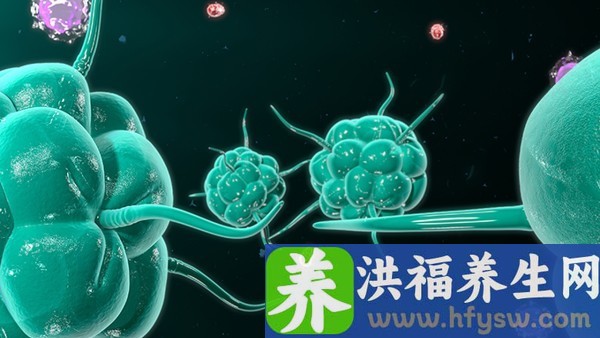 倍刻氯芬黄敏片能和抗病毒口服液一起吃吗 氯芬黄敏片能和其他药同服吗？