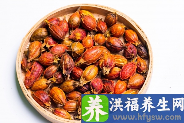 栀子的功效与作用、禁忌和食用方法