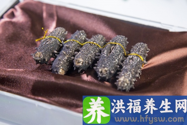 海参的功效与作用、禁忌和食用方法