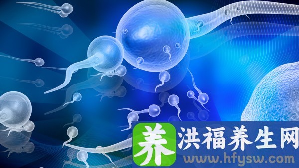 卵泡发育不良弱精试管