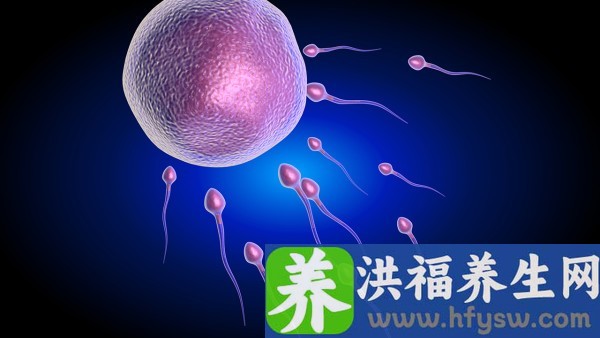 人工授精后有必要吃这么多药吗
