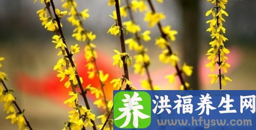 大寒养身重在养肾 七款养生粥最有效补肾