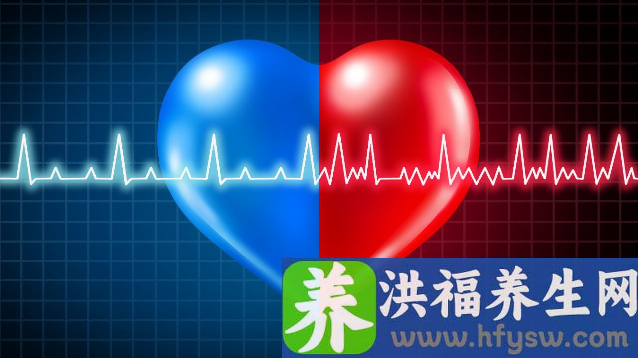 心率46次分钟中药能调吗