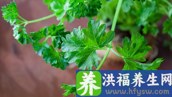 急性胰腺炎能吃什么蔬菜