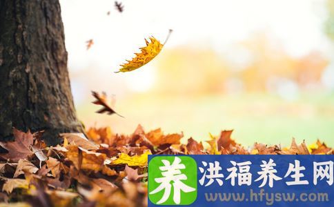 秋季吃什么菜好？ 7种蔬菜养肺健胃